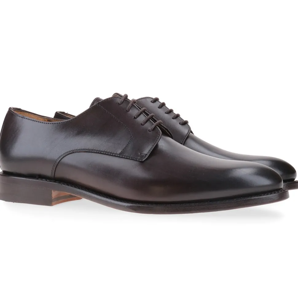 Berwick 1707 Derby^3011-K5 NOMERA TESTA