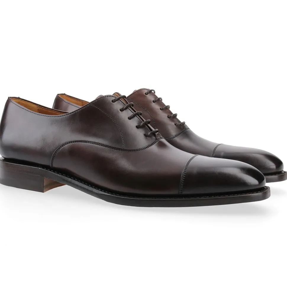 Berwick 1707 Oxford^2428-K9 TOLEDO TESTA