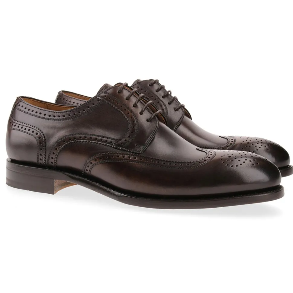 Berwick 1707 Derby^3571-K5 TOLEDO TESTA