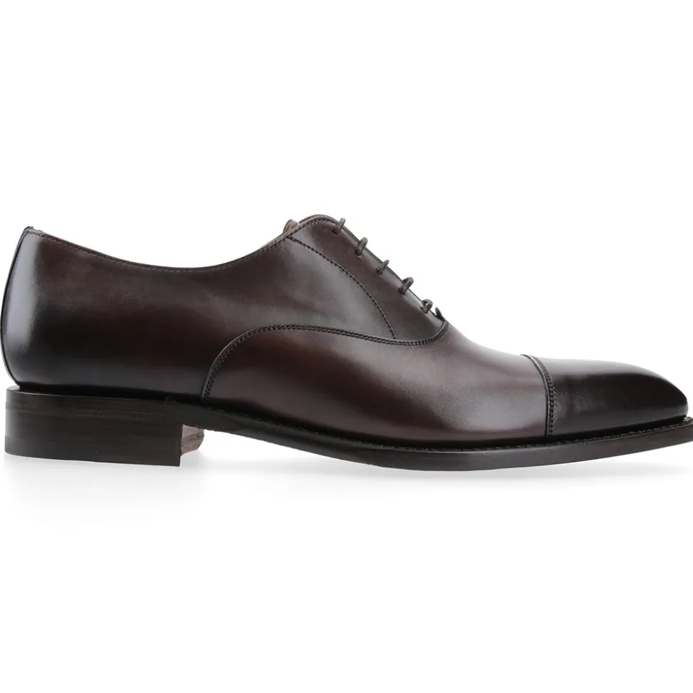 Berwick 1707 Oxford^2428-K9 TOLEDO TESTA