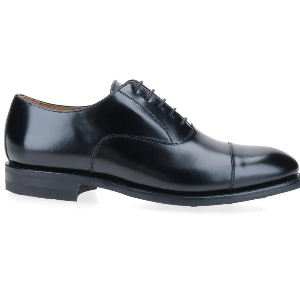 Berwick 1707 Oxford^5217-T06 ROIS SCHWARZ