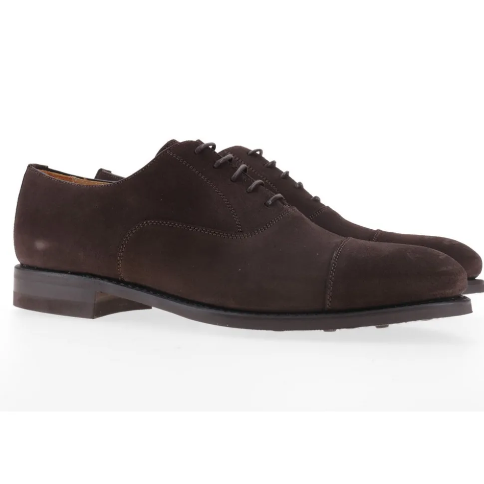 Berwick 1707 Oxford^5217-T07 SUPERBUCK 173